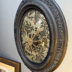 Ramă veche cu geam bombat (sfârșit sec. XIX – început sec. XX), montaj cu păianjen natural și fundal din dantelă neagră sertar magic București.