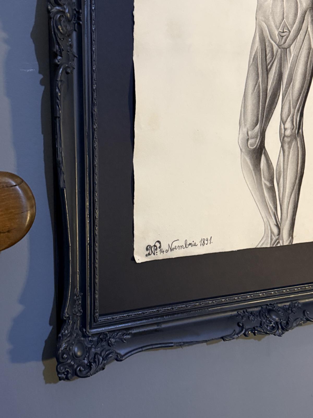 Desen anatomic în creion de Nicolae Protopopescu-Pake, datat 14 noiembrie 1891, montat în ramă veche negru mat – sertar magic București.