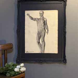 Desen anatomic în creion de Nicolae Protopopescu-Pake, datat 14 noiembrie 1891, montat în ramă veche negru mat – sertar magic București.