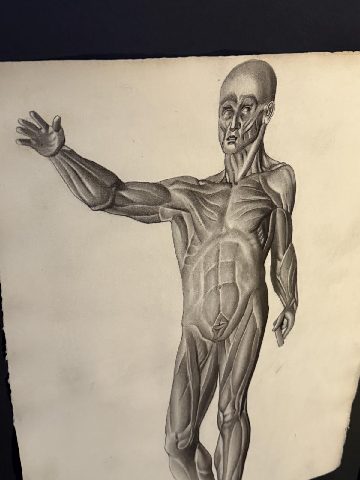 Desen anatomic în creion de Nicolae Protopopescu-Pake, datat 14 noiembrie 1891, montat în ramă veche negru mat – sertar magic București.