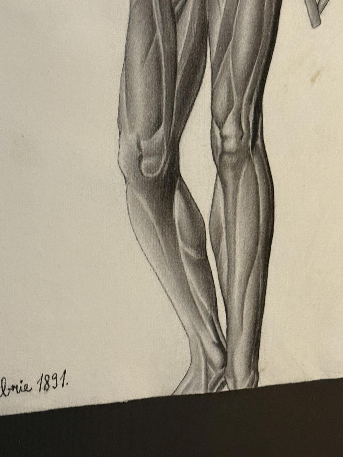 Desen anatomic în creion de Nicolae Protopopescu-Pake, datat 14 noiembrie 1891, montat în ramă veche negru mat – sertar magic București.