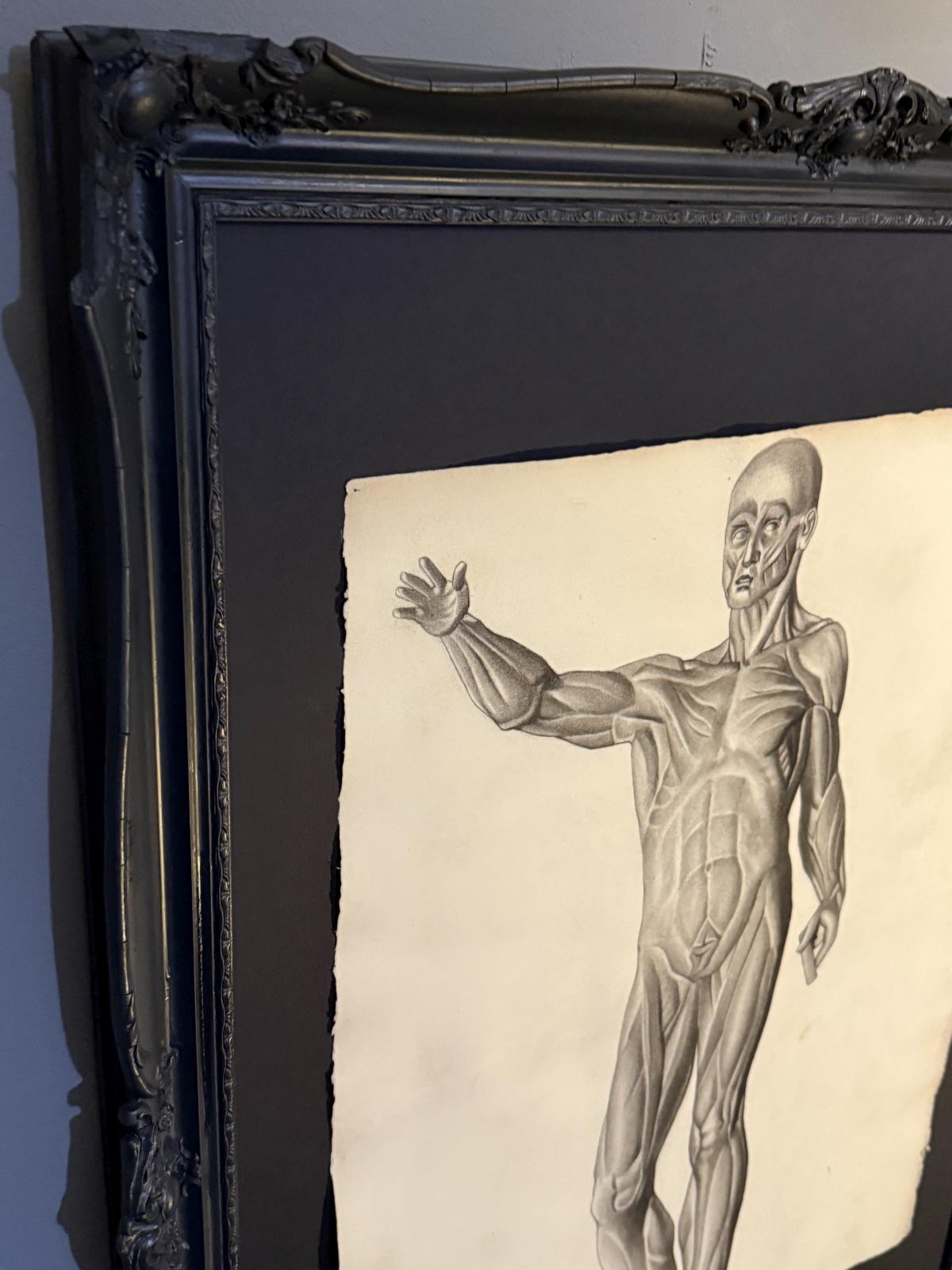 Desen anatomic în creion de Nicolae Protopopescu-Pake, datat 14 noiembrie 1891, montat în ramă veche negru mat – sertar magic București.