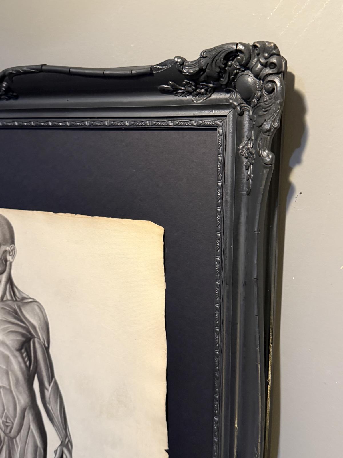 Desen anatomic în creion de Nicolae Protopopescu-Pake, datat 14 noiembrie 1891, montat în ramă veche negru mat – sertar magic București.