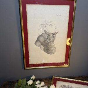 Planșă anatomică litografică, sec. XIX, Franța, semnată „Lith. de Durasme”, dimensiuni 45x63 cm. sertar magic București. antichitati.