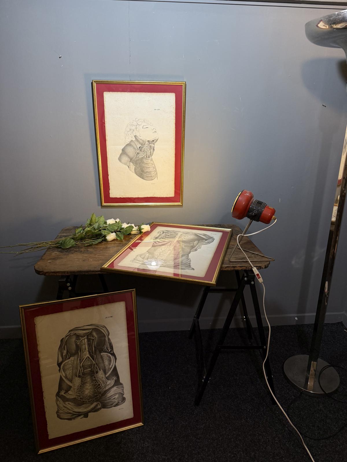 Planșă anatomică litografică, sec. XIX, Franța, semnată „Lith. de Durasme”, dimensiuni 45x63 cm. sertar magic București. antichitati.