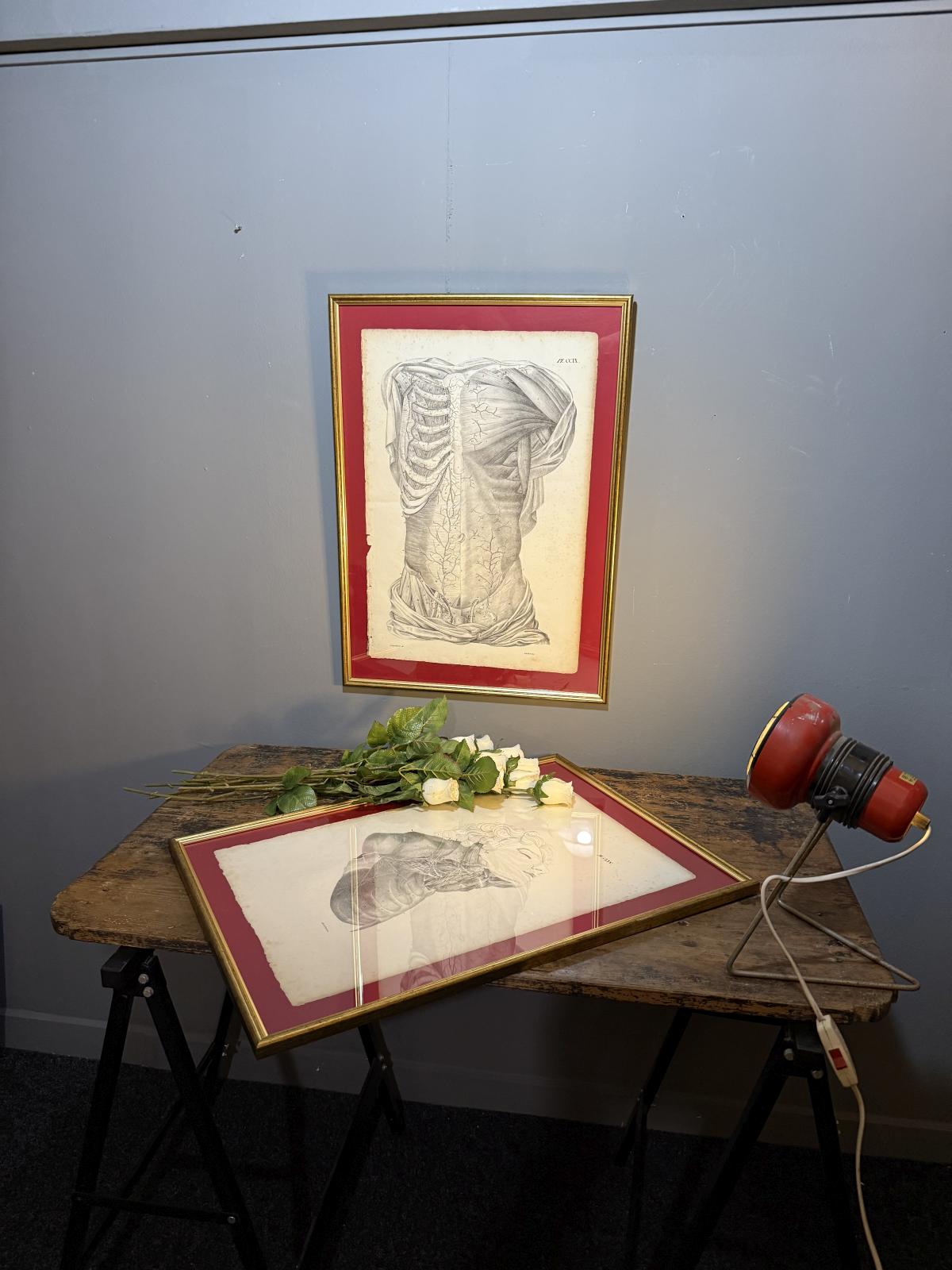 Planșă anatomică litografică sec. XIX, Franța, dimensiuni 45x63 cm, autentică și înrămată. sertar magic București. antichitati