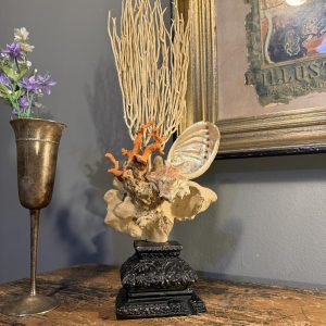 Compoziție decorativă unicat cu coral și scoici, realizată manual pe soclu vechi recondiționat. Piesă cu caracter. sertar magic București