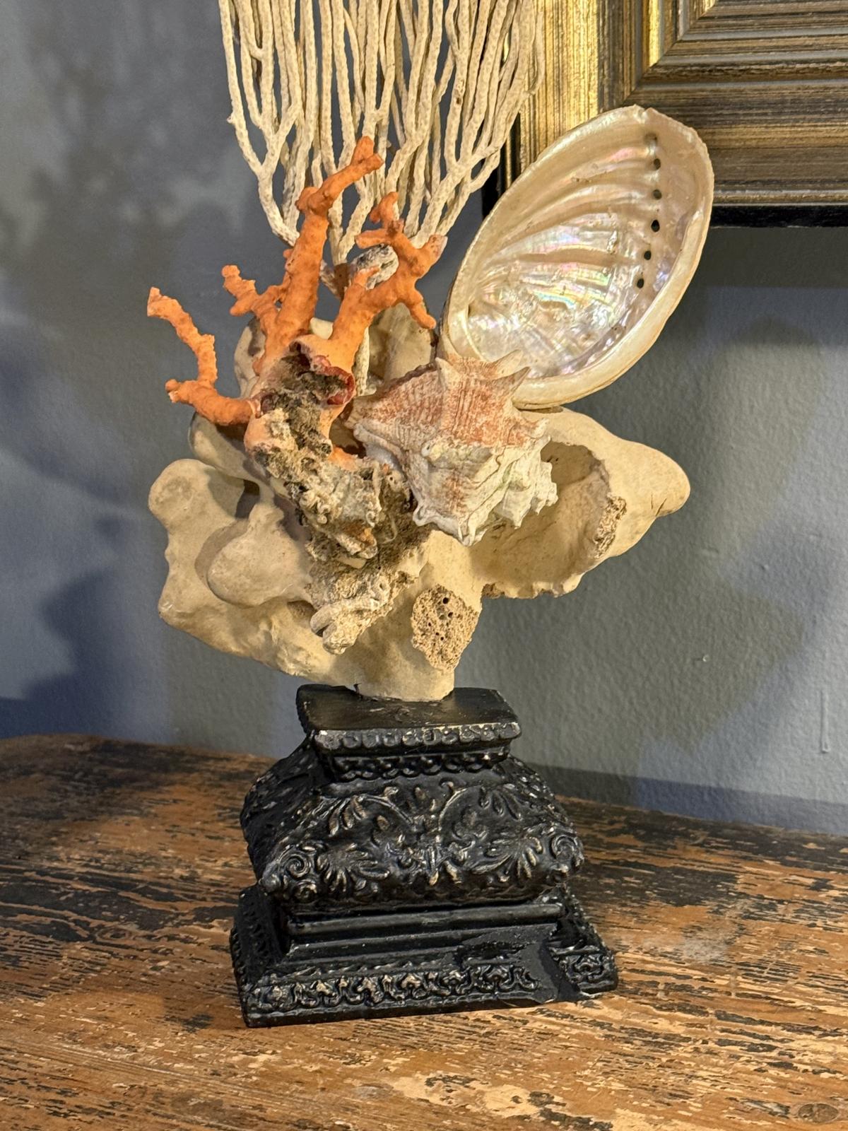 Compoziție decorativă unicat cu coral și scoici, realizată manual pe soclu vechi recondiționat. Piesă cu caracter. sertar magic București