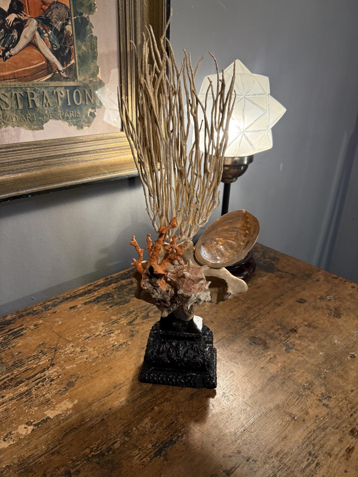 Compoziție decorativă unicat cu coral și scoici, realizată manual pe soclu vechi recondiționat. Piesă cu caracter. sertar magic București