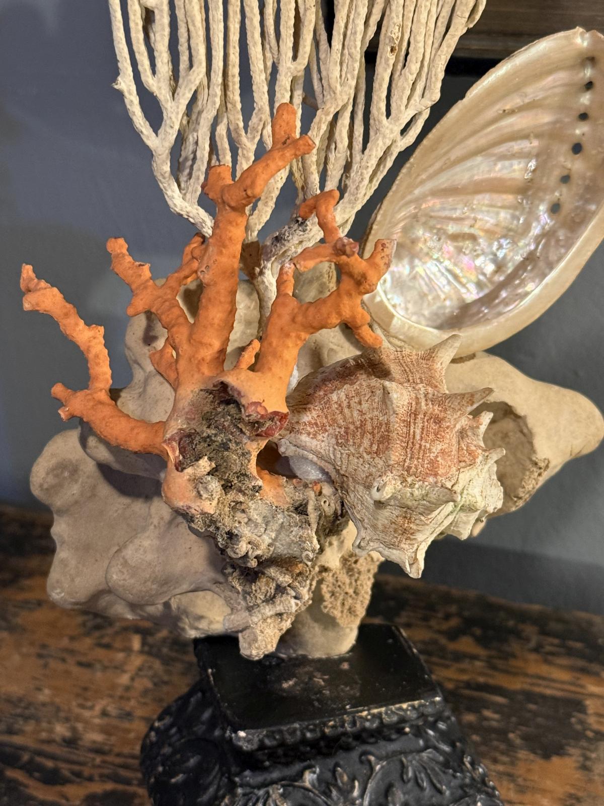 Compoziție decorativă unicat cu coral și scoici, realizată manual pe soclu vechi recondiționat. Piesă cu caracter. sertar magic București