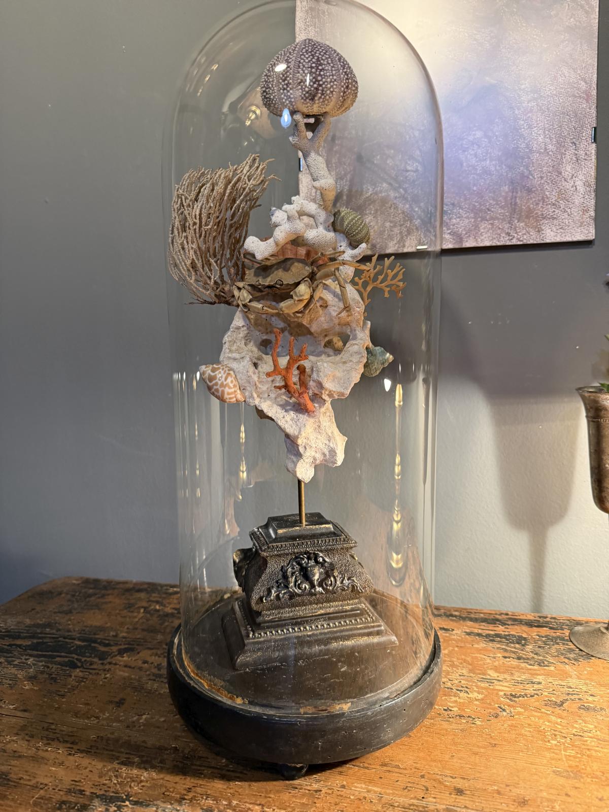 Glob decorativ inspirat de cabinetele de curiozități, cu elemente marine naturale sub glob de sticlă vechi – sertar magic București