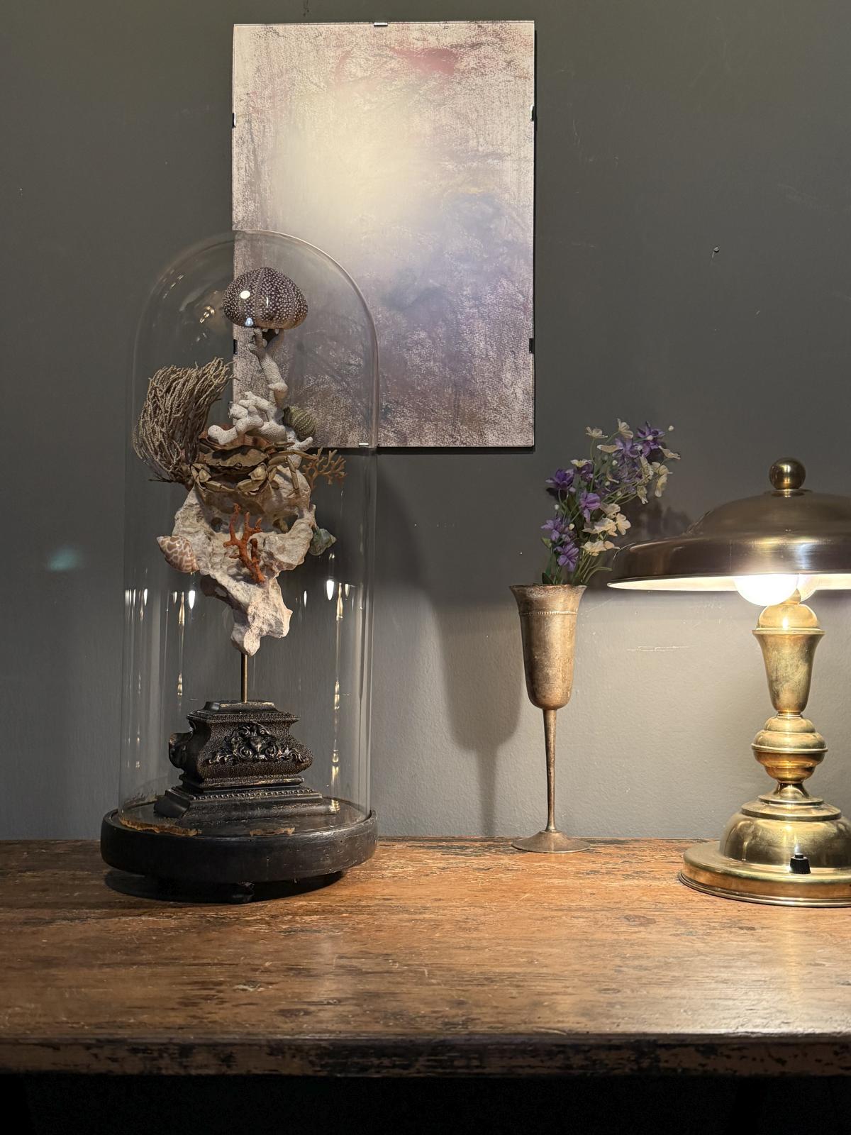 Glob decorativ inspirat de cabinetele de curiozități, cu elemente marine naturale sub glob de sticlă vechi – sertar magic București
