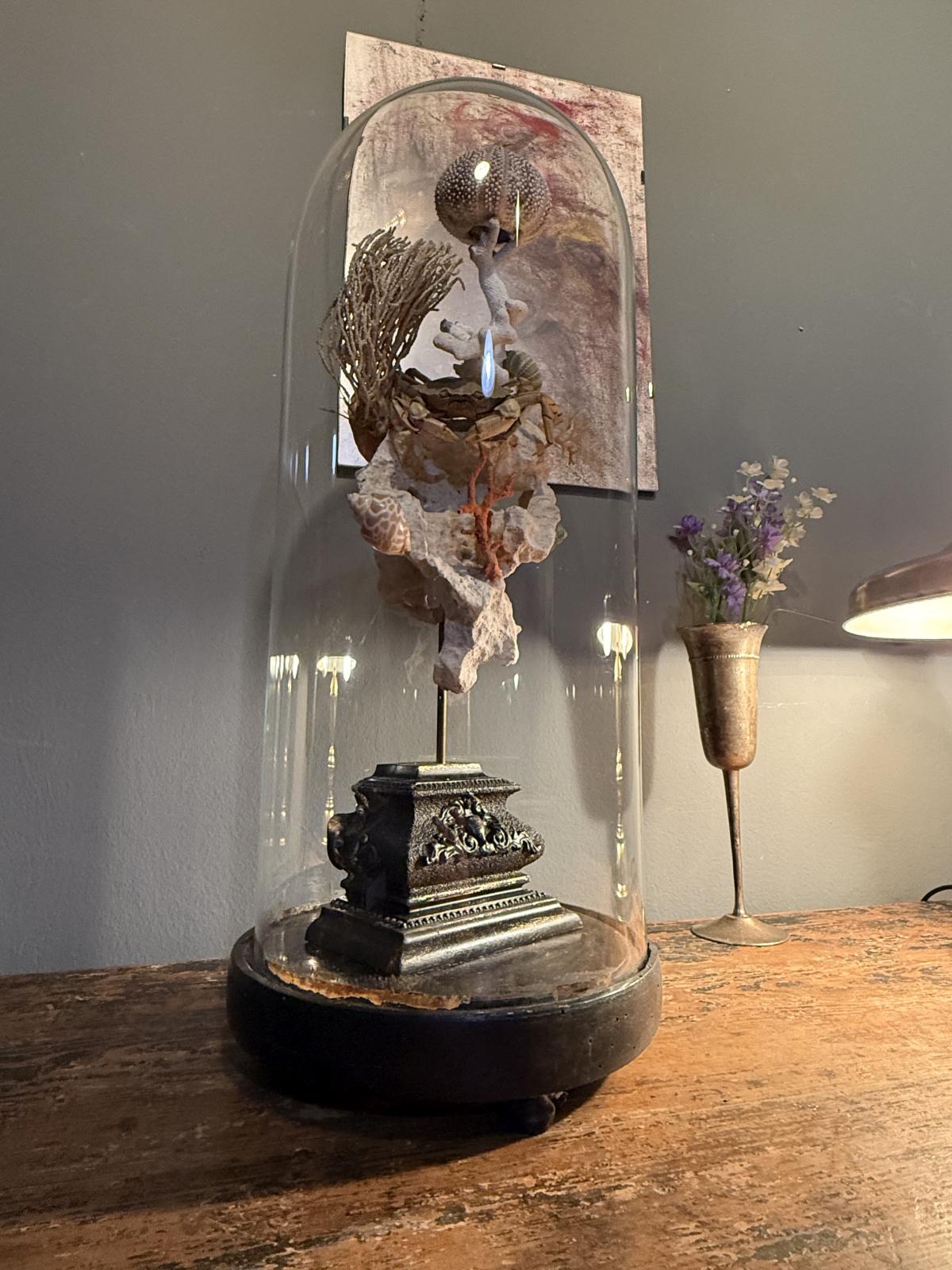 Glob decorativ inspirat de cabinetele de curiozități, cu elemente marine naturale sub glob de sticlă vechi – sertar magic București