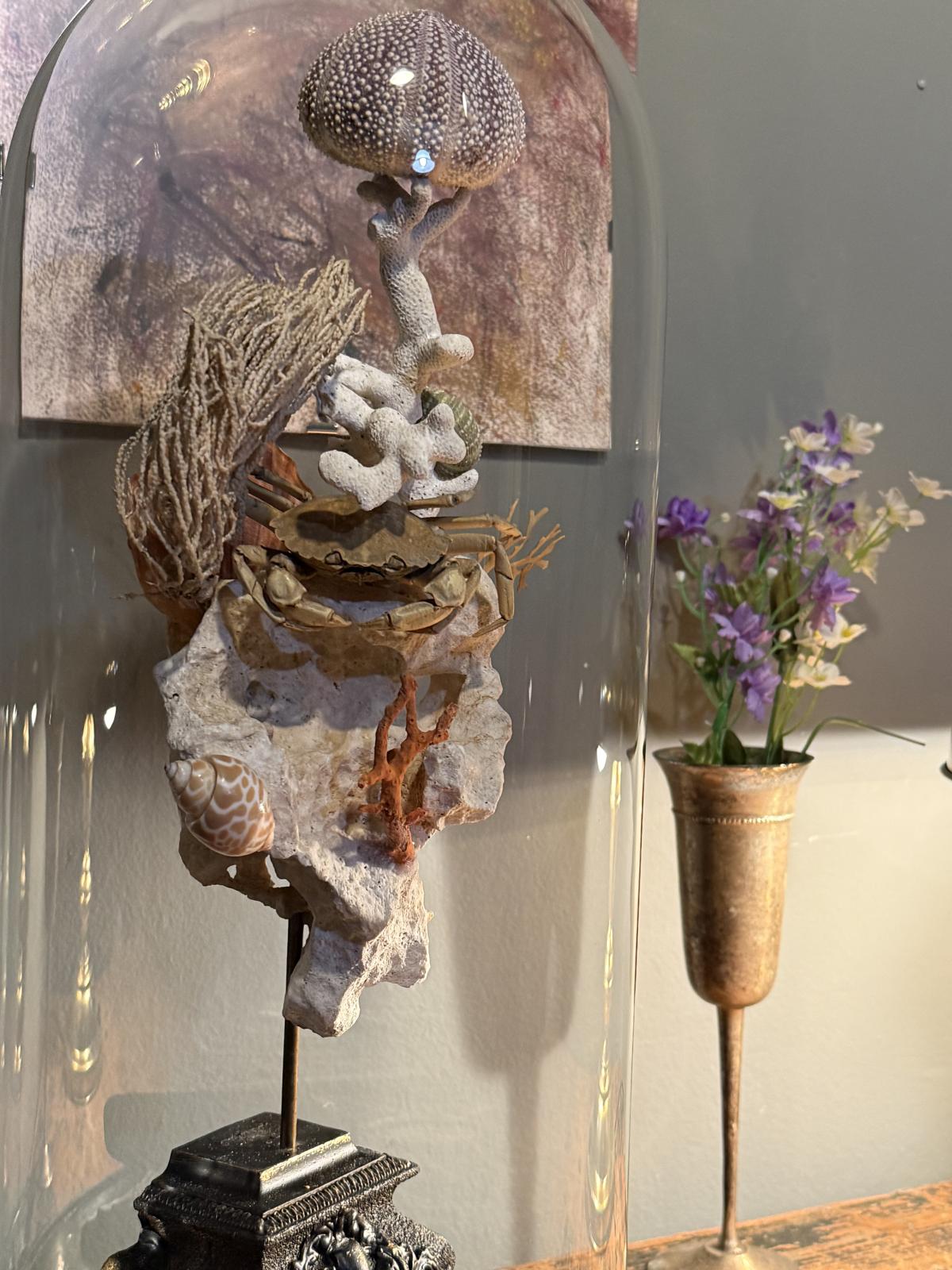 Glob decorativ inspirat de cabinetele de curiozități, cu elemente marine naturale sub glob de sticlă vechi – sertar magic București