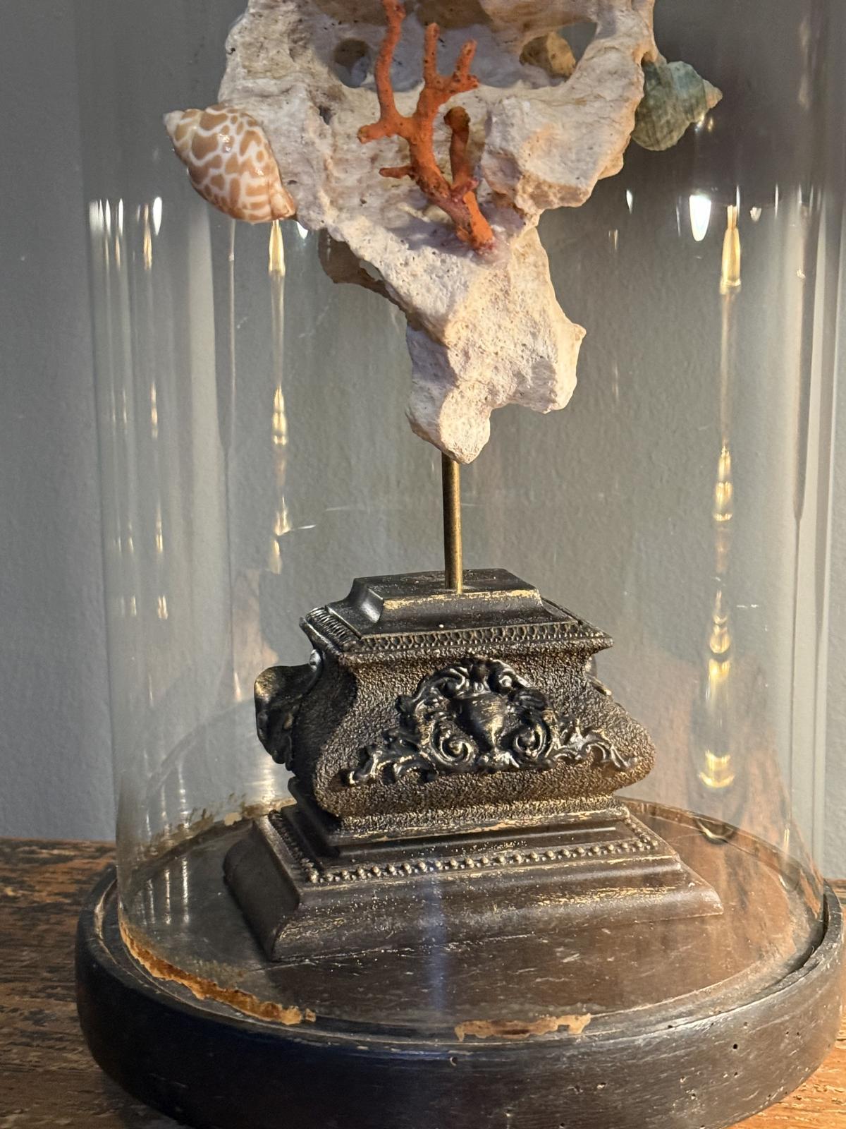 Glob decorativ inspirat de cabinetele de curiozități, cu elemente marine naturale sub glob de sticlă vechi – sertar magic București