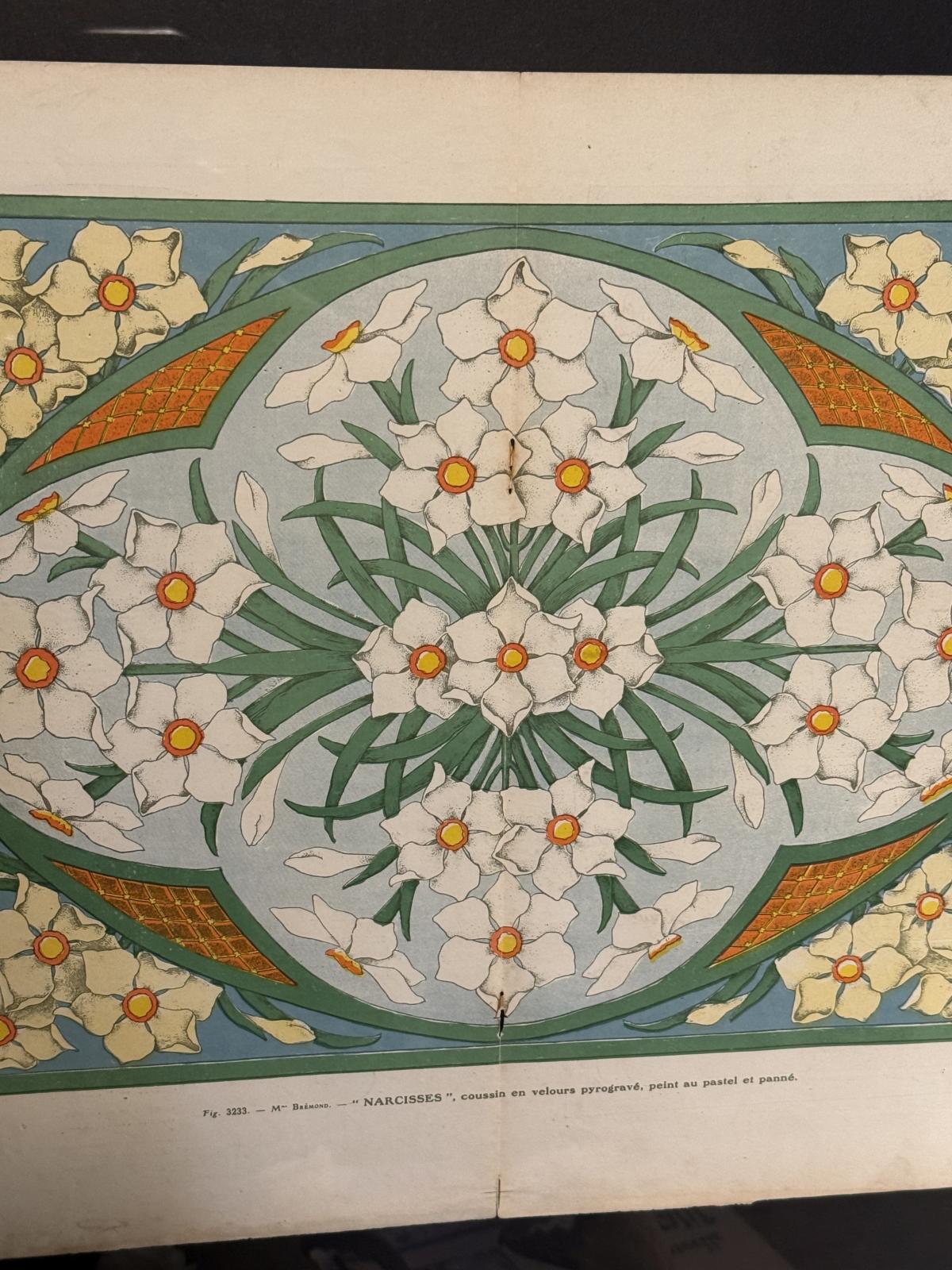 Planșă Art Nouveau „Narcise” din revistă franceză (1910–1920), înrămată minimalist, 50 x 60 cm. sertar magic București