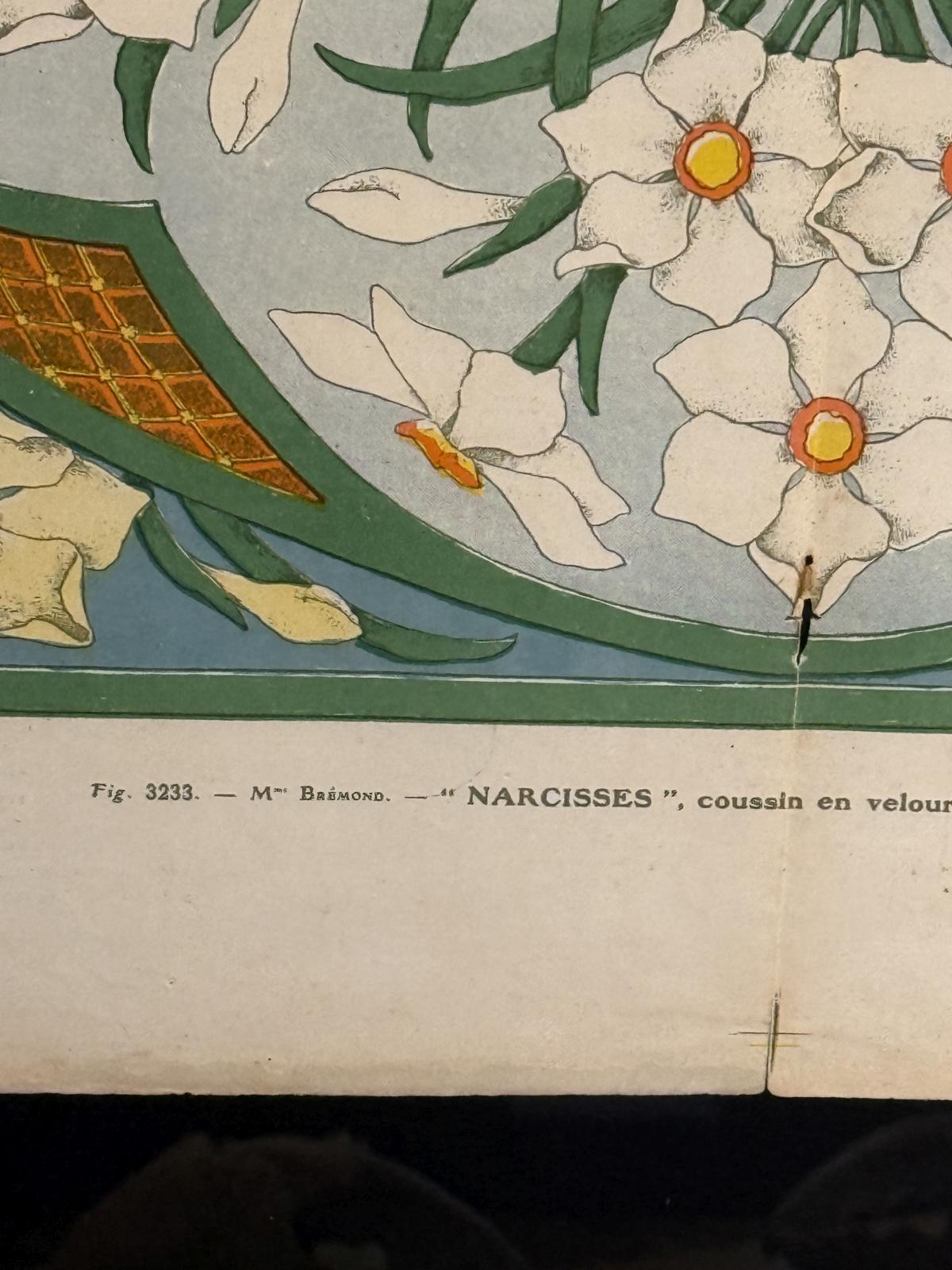 Planșă Art Nouveau „Narcise” din revistă franceză (1910–1920), înrămată minimalist, 50 x 60 cm. sertar magic București