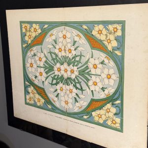 Planșă Art Nouveau „Narcise” din revistă franceză (1910–1920), înrămată minimalist, 50 x 60 cm. sertar magic București