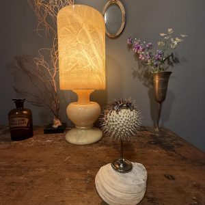 Creație unicat cu pește-balon natural conservat, montat pe un picior vechi din alamă argintată și o scoică naturală. Înălțime 15 cm.