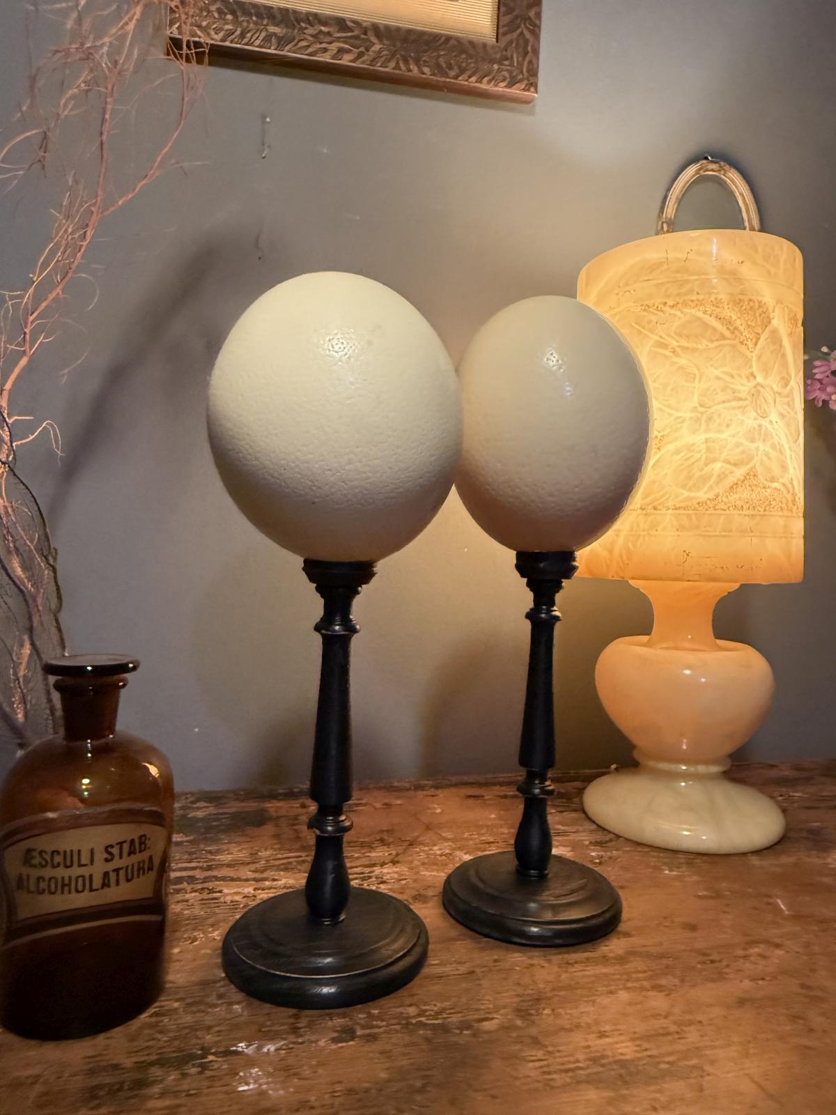 Pereche decorativă de ouă de struț naturale, montate pe suporturi înalte cu finisaj negru. Înălțime 34 cm fiecare.