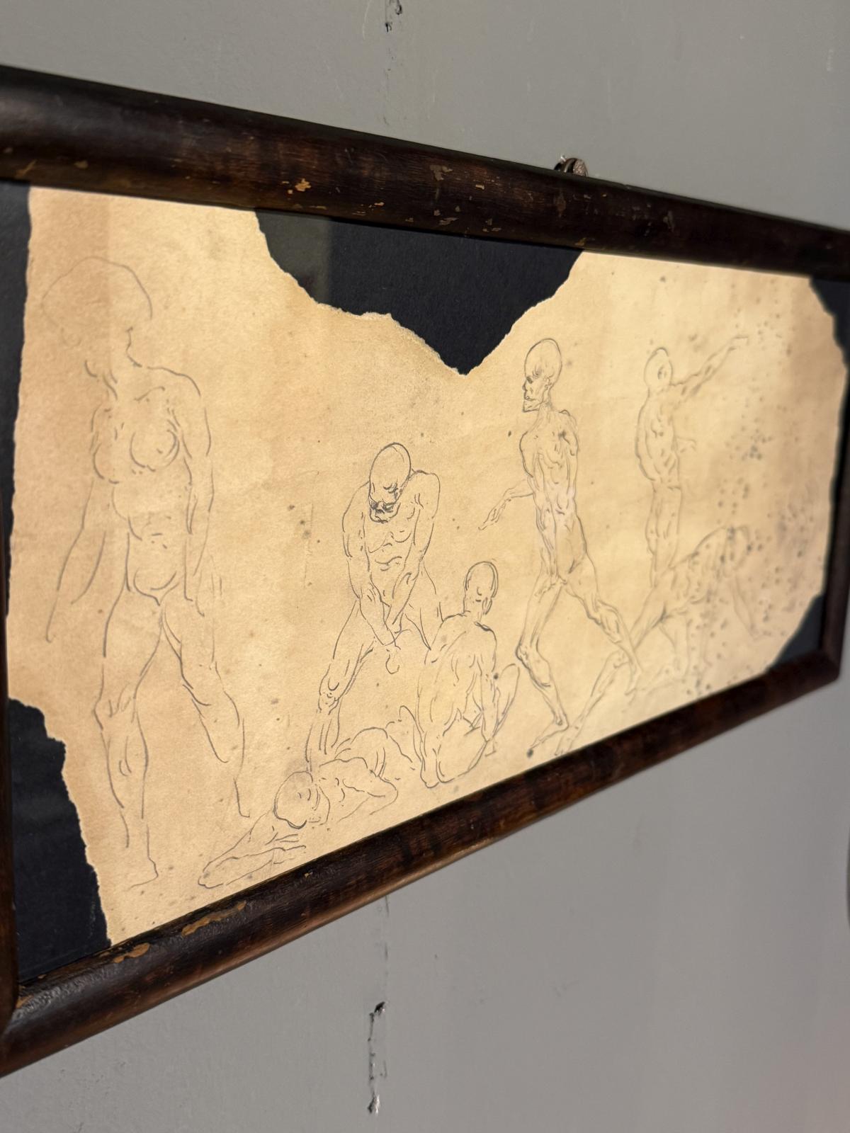 Serie de studii anatomice italiene din anii 1920, realizate pe o foaie veche și montate într-o ramă din lemn cu fundal negru.