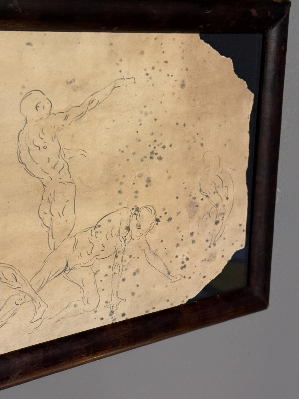 Serie de studii anatomice italiene din anii 1920, realizate pe o foaie veche și montate într-o ramă din lemn cu fundal negru.