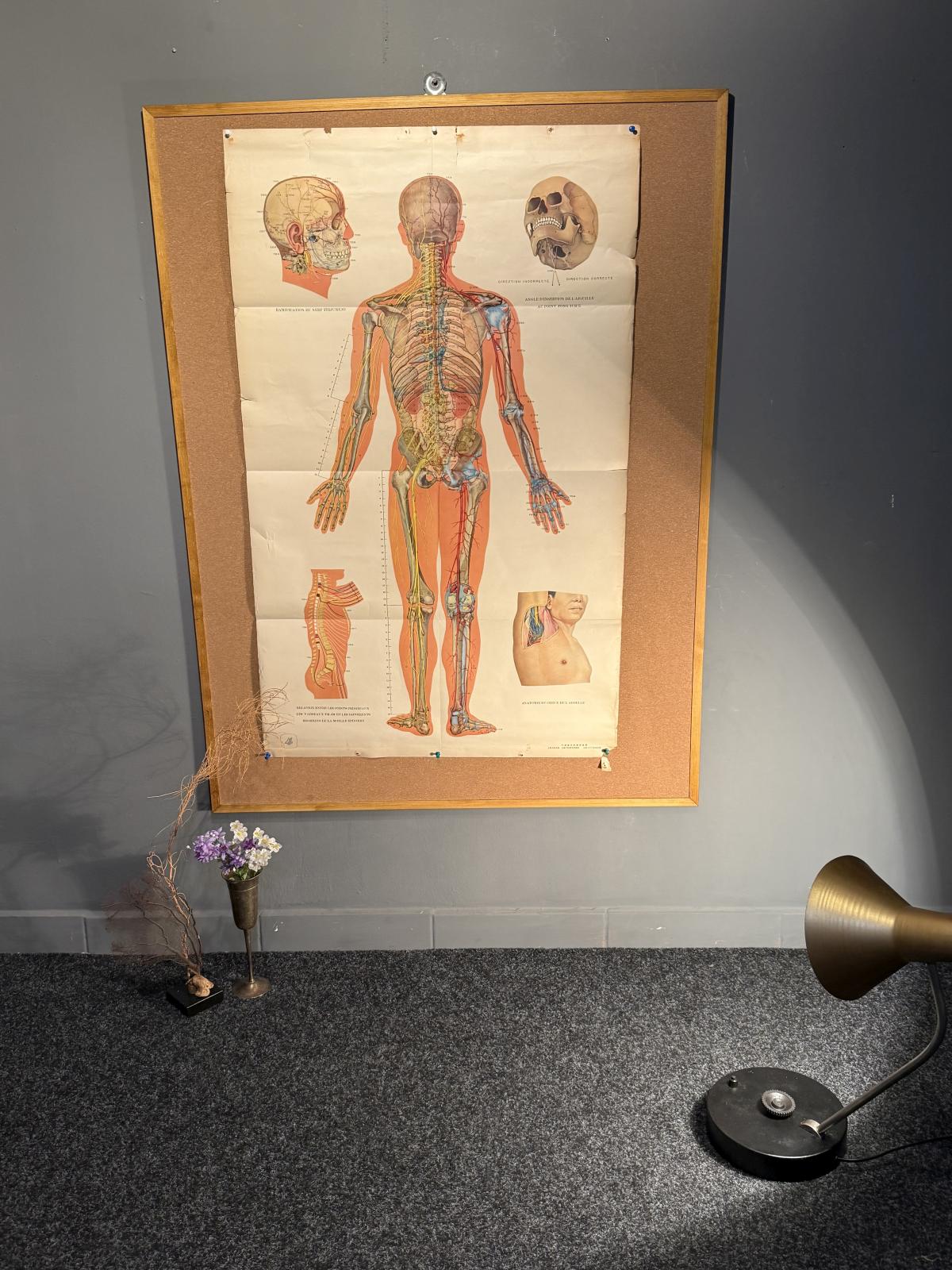 Planșă vintage de acupunctură din China, cu anatomia corpului văzut din spate și explicații în franceză. Anii 1970, 65 × 105 cm.